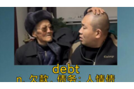 端州为什么选择专业追讨公司来处理您的债务纠纷？